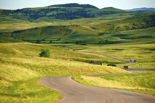 Winding road curving through wide open grassy hills with scattered trees and distant mountains under a clear sky.