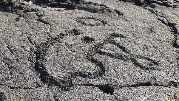 Pu'u Loa Petroglyph Boardwalk