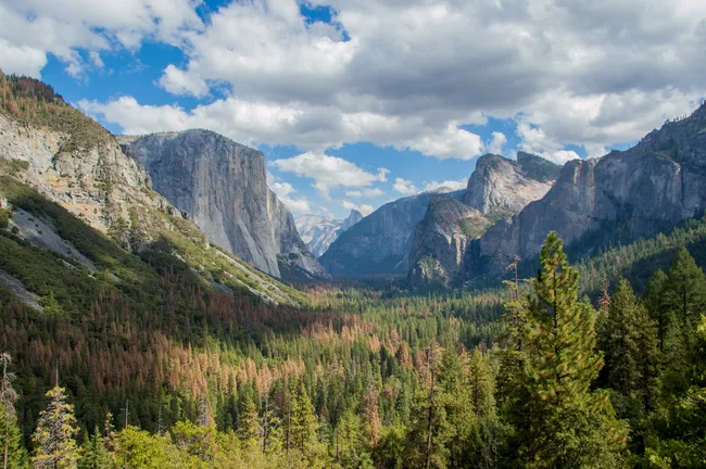 The iconic Tunnel View in Yosemite National Park, featuring El Capitan, Half Dome, and Bridalveil Fall overlooking a lush valley of evergreen trees under a cloudy sky.