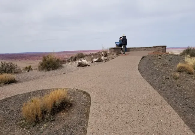 A paved path curves through the high desert to the Pintado Point overlook in Petrified Forest National Park. Two visitors stand at a low stone viewing wall, looking out across the expansive Painted Desert, where colorful layers of red, pink, and purple badlands stretch to the horizon under an overcast sky. Dry grasses and scattered desert shrubs line the walkway, emphasizing the park’s open, rugged landscape.