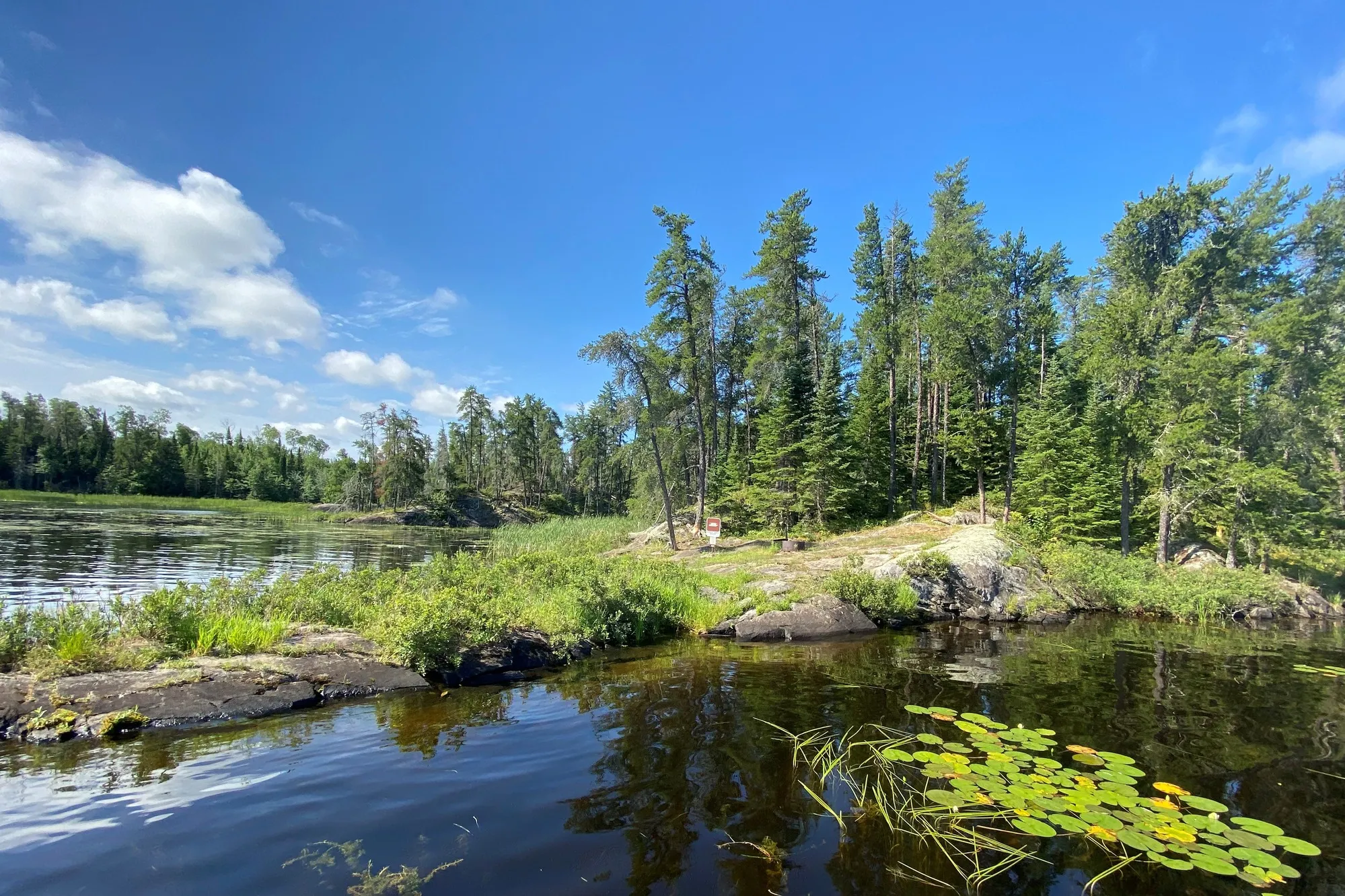 Calm lake bordered by rocky shoreline and dense evergreen forest, with lily pads floating in the foreground and a bright blue sky reflected in the water.