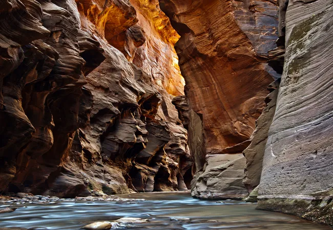 Shallow river flowing through a narrow canyon with towering, sculpted rock walls glowing with warm reflected light.