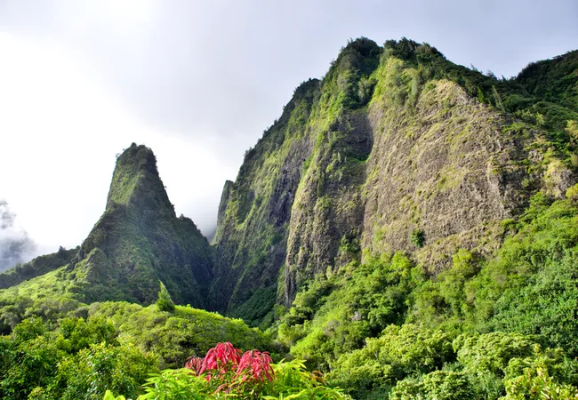 Lush green cliffs rise dramatically at ʻĪao Valley State Monument on Maui, surrounded by dense tropical vegetation.