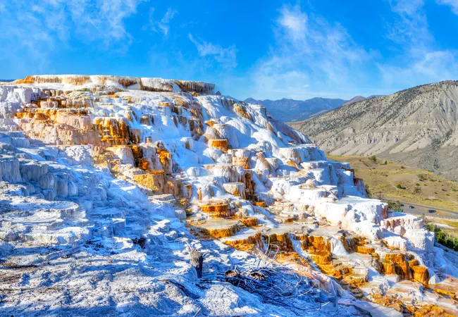 Terraced white and orange mineral formations shine under bright sun at Mammoth Hot Springs, surrounded by distant hills.
