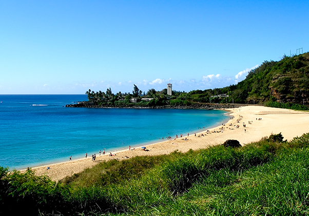 Drive and Sightsee Around Oahu Shaka Guide 