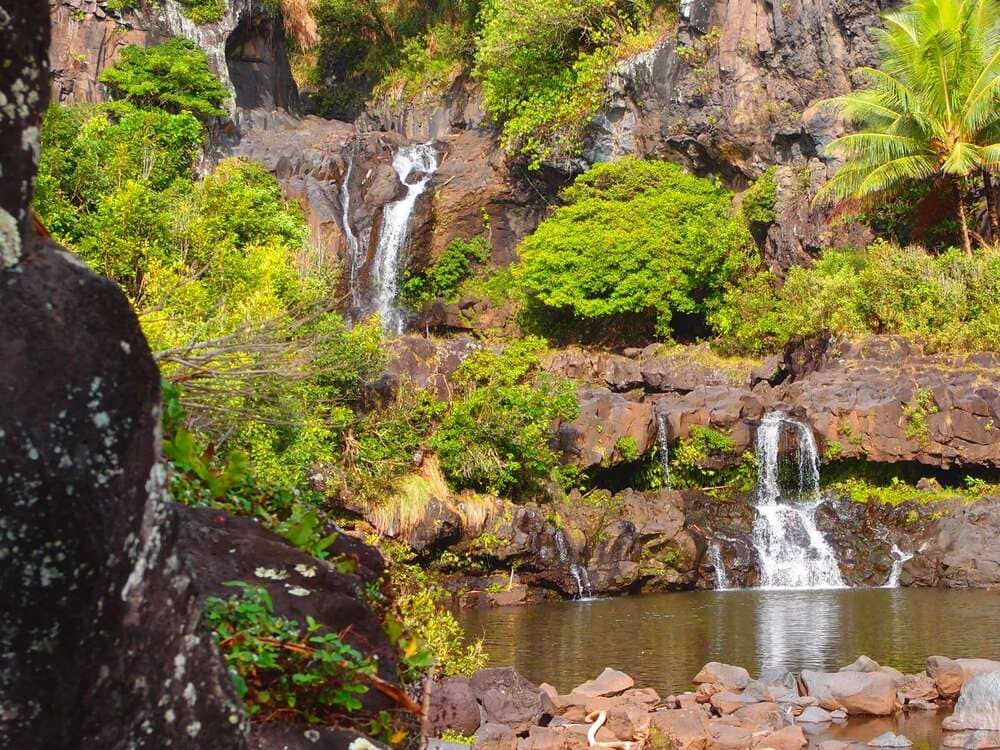 Seven Sacred Pools Kipahulu Maui Travel Shaka Guide