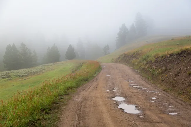 A foggy dirt road winds through grassy hills with puddles on the path and pine trees fading into the mist.
