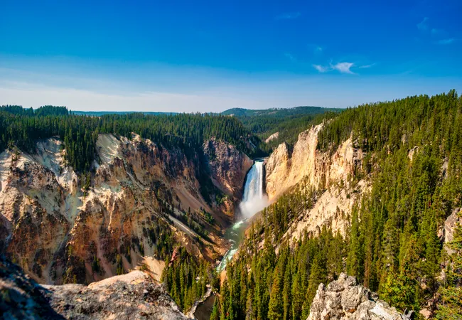 A sweeping view of Yellowstone’s Grand Canyon with the Lower Falls cascading between colorful cliffs and dense evergreen forest.