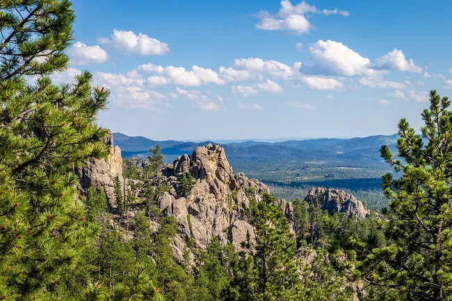 Scenic view of granite rock spires and pine forests along Needles Highway in South Dakota’s Black Hills.