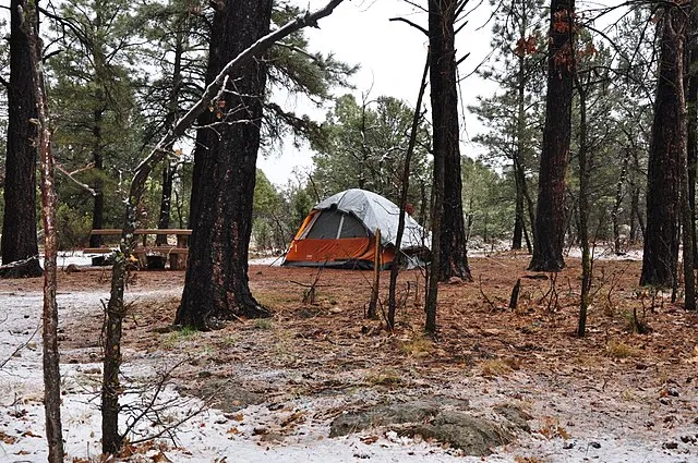 A small orange-and-gray tent sits among tall pine trees, with light snow dusting the ground and a wooden picnic table nearby in a quiet forest clearing.
