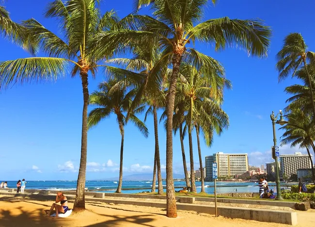 Palm trees line a sunny beachfront path in Waikiki, with people relaxing and high-rise hotels in the background.