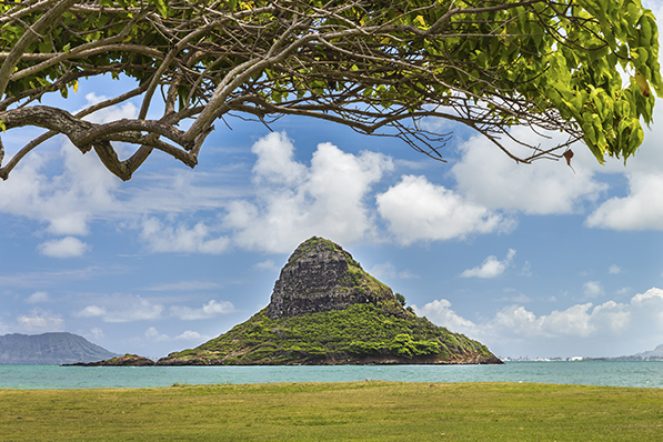 Drive and Sightsee Around Oahu Shaka Guide 