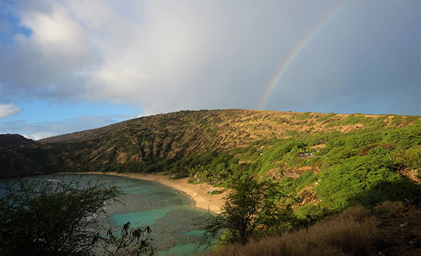 what-to-do-1-day-oahu-4-shaka-guide