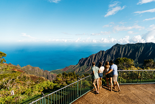 Na Pali Coast, Shaka Guide's Waimea and Na Pali Driving Tour