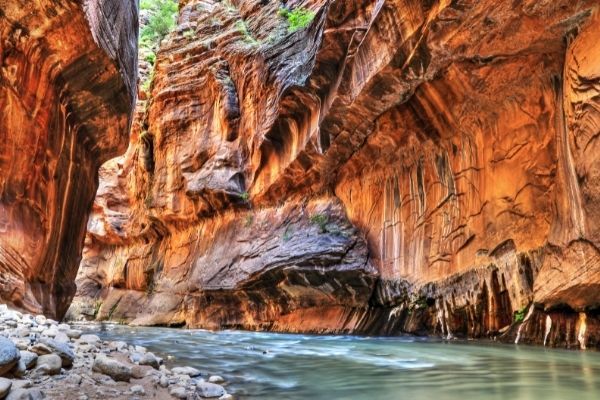 Zion Utah National Park 