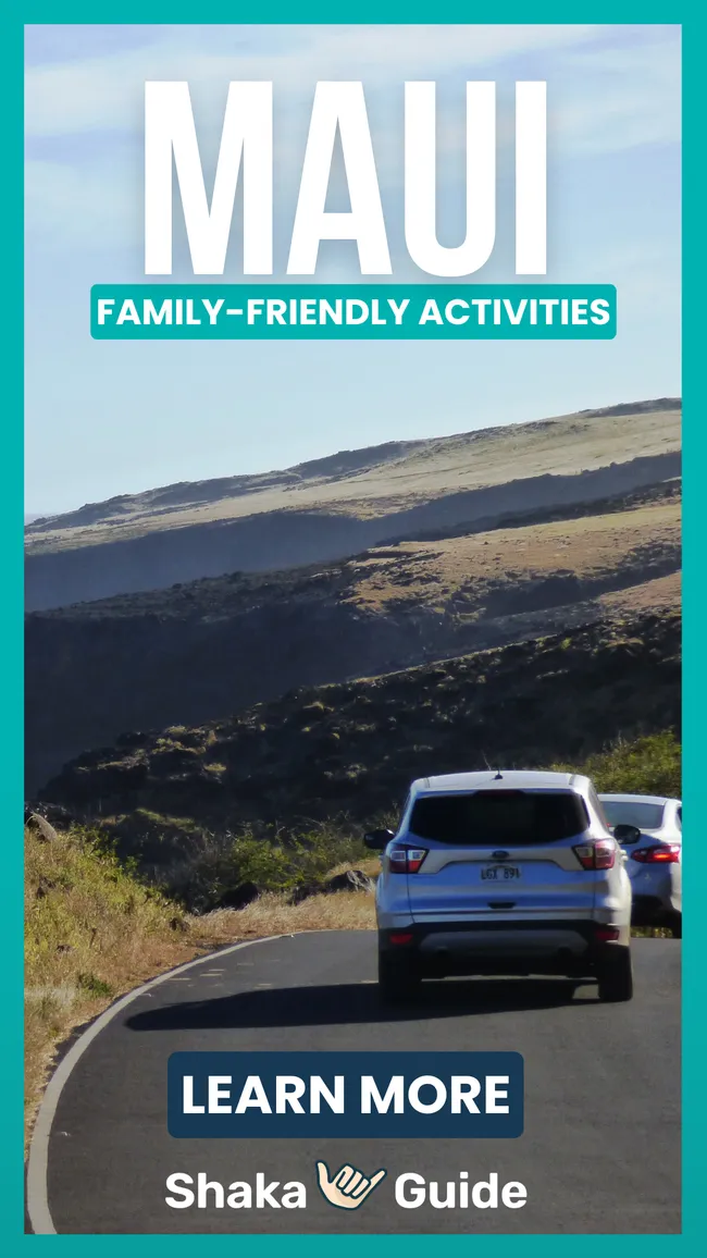 A line of cars winds up a sunlit mountain road surrounded by rolling grassy slopes.