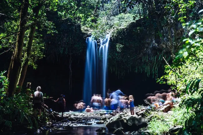 People swimming beneath a small tropical waterfall inside a lush, green jungle grotto.