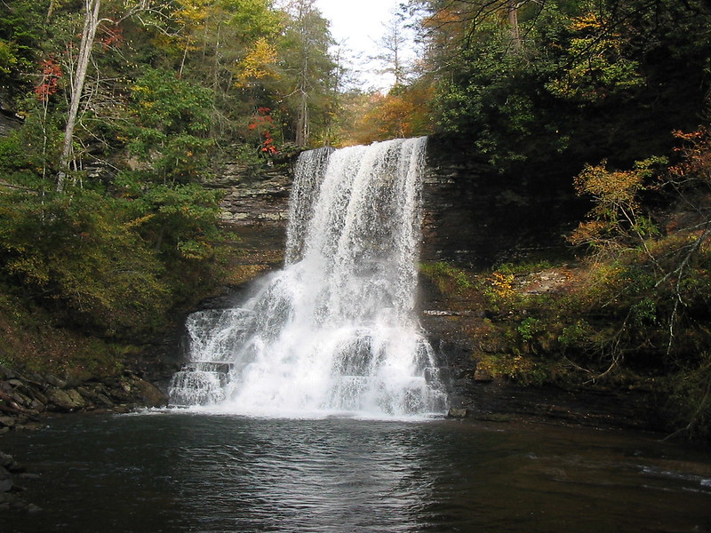 waterfalls with yellow trees around it