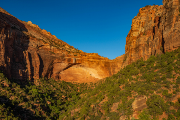 Great Arch Zion Utah National Parks