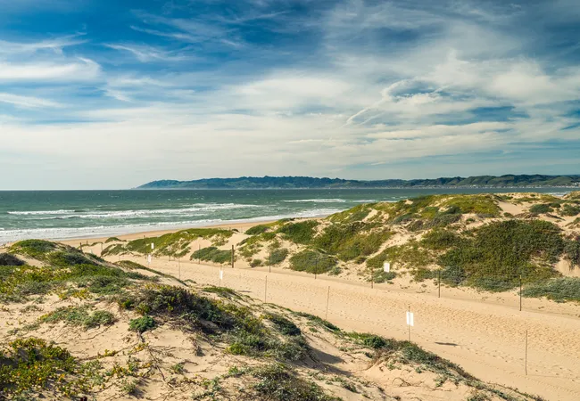 A high-angle view of a vast coastal dune system under a wide, blue sky with wispy white clouds. Large sand dunes are covered in patches of green coastal scrub and low-lying vegetation. In the background, white waves of the Pacific Ocean break on the shore, and a long, dark green mountain range stretches across the horizon.