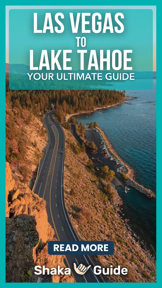 Curving mountain highway beside a clear blue lake surrounded by pine trees and rocky cliffs under a bright sky.