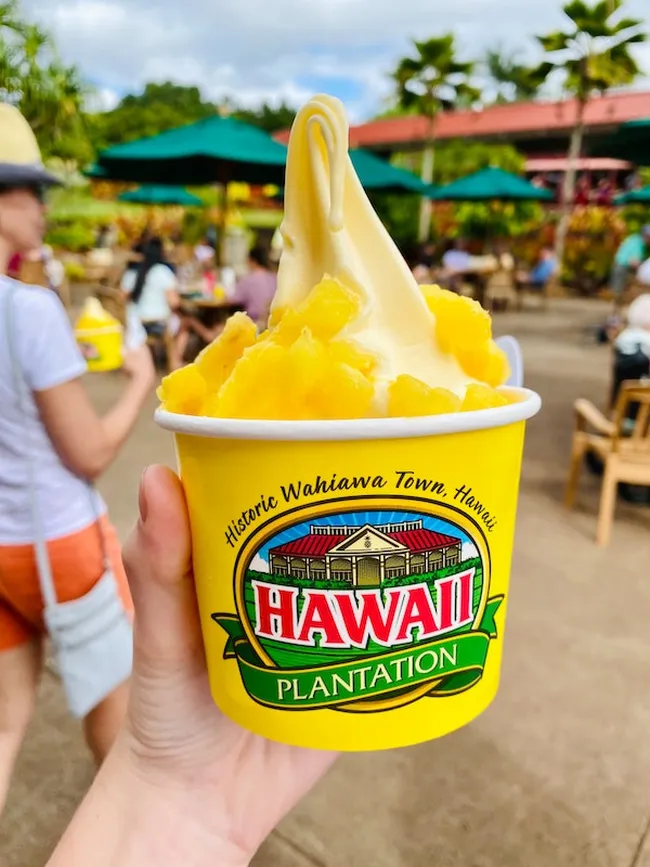 Hand holding a Dole Whip topped with pineapple chunks at Hawaii Plantation Village in Wahiawa.
