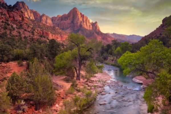 Springdale Utah Zion National park 