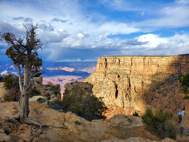 Scenic overlook at Moran Point showcasing the layered cliffs and vast expanse of the Grand Canyon.