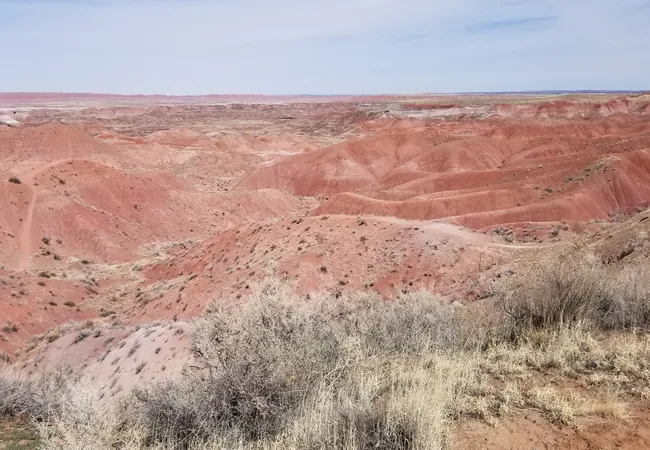 Tiponi Point overlooks the colorful badlands of Petrified Forest National Park, where rolling hills of red, pink, and tan sediment stretch across the desert landscape. Sparse shrubs and dry grasses cover the foreground, while layered ridges and winding gullies extend toward the distant horizon beneath a pale blue sky. The scene highlights the park’s striking Painted Desert terrain and its vast, rugged beauty.