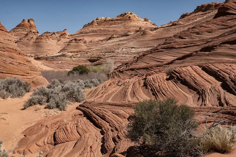 A wide landscape shot of a rugged desert terrain featuring unique, swirling rock formations. The hills are made of tan and reddish-orange sandstone with prominent, rhythmic horizontal and diagonal sediment lines that look like ripples or waves. Sparse green and grey desert shrubs are scattered in the foreground and a small patch of green trees sits in a depression in the mid-ground. The scene is set under a clear, pale blue sky in bright daylight.