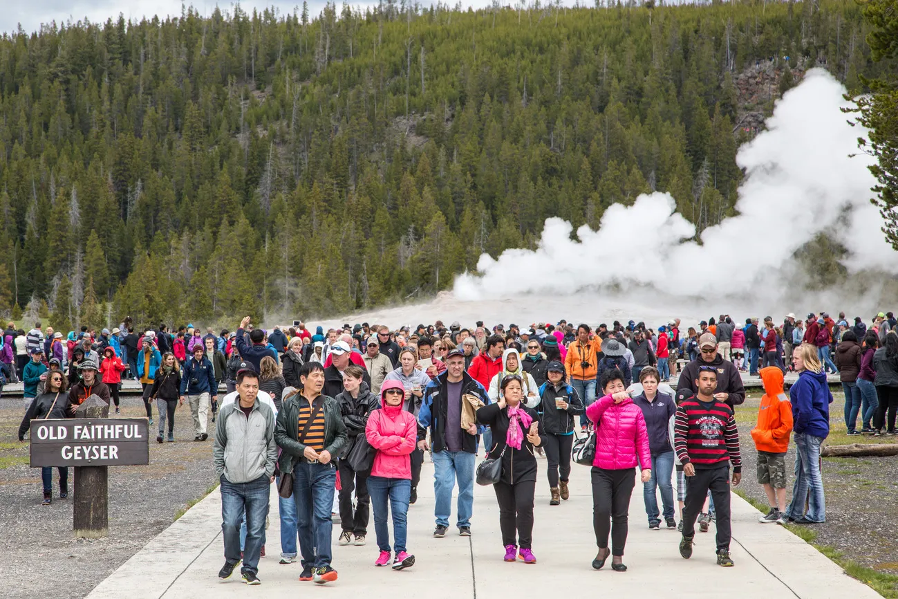Crowds gather near Old Faithful geyser in Yellowstone National Park, with steam rising in the background amid a lush green landscape.