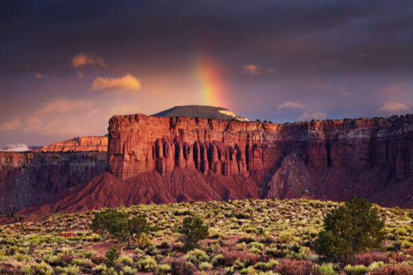 Red Rock Torrey Capitol Reef Utah National Parks