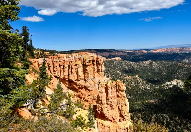 View of Bryce Canyon’s orange cliffs and forested valleys under a bright blue sky.