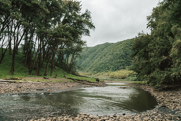 Polulu Valley Hike Big Island Shaka Guide 