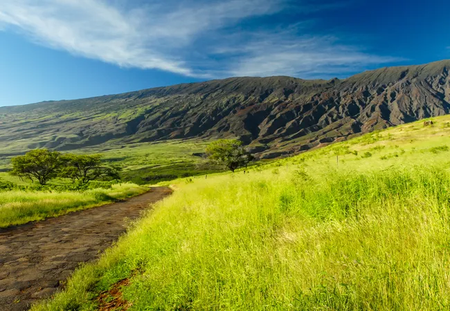 Scenic green pastures and winding road below Maui’s rugged volcanic slopes under a bright blue sky.