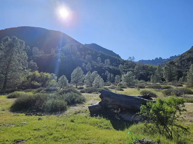 A sunlit mountain meadow with green grasses, scattered shrubs, and a large fallen log in the foreground, surrounded by tree-covered hills under a bright blue sky.