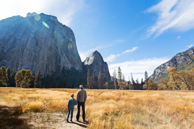 A father and son admire Yosemite’s granite cliffs while standing in a golden meadow.