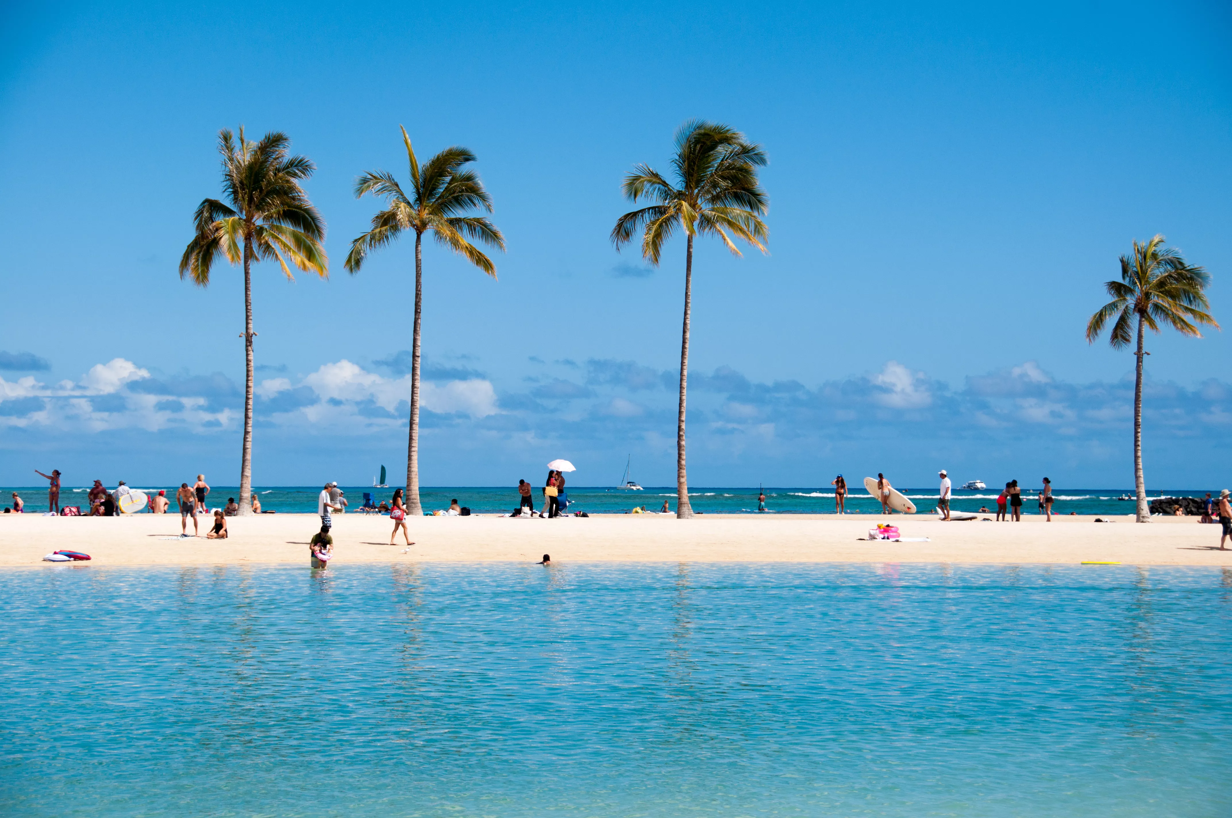 people at the beach