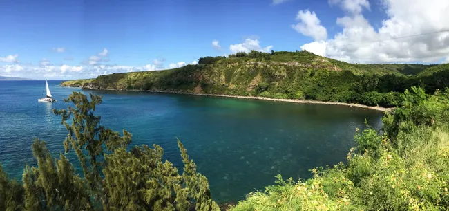 Panoramic view of Honolua Bay with turquoise water, a sailing catamaran, and lush green cliffs under a bright sky
