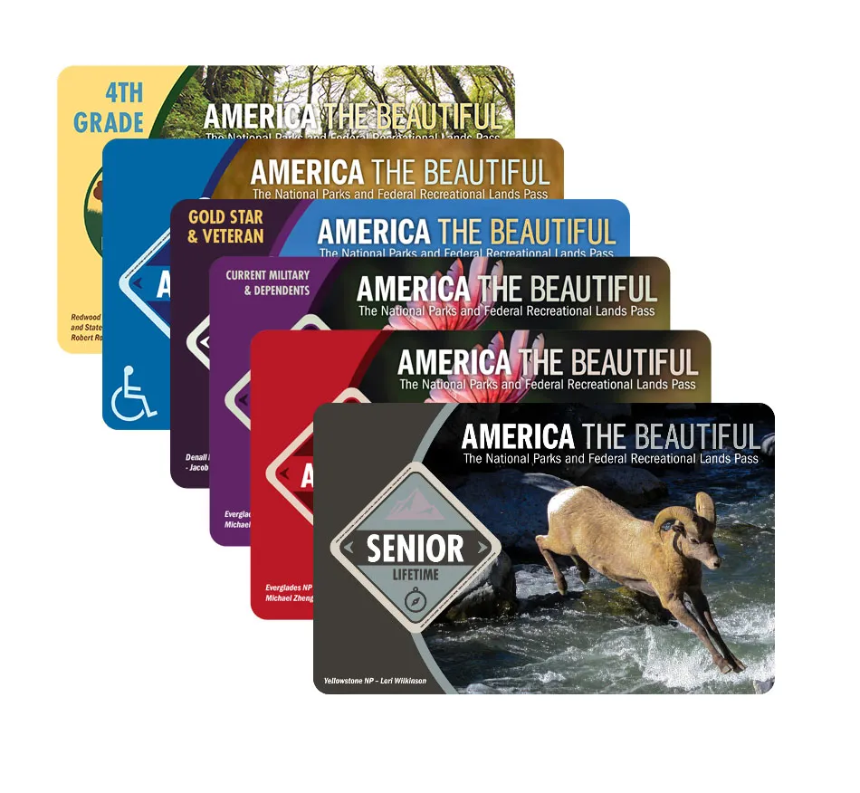 Image shows a set of colorful America the Beautiful Interagency Passes, including options for seniors, veterans, military, 4th graders, and visitors with disabilities.