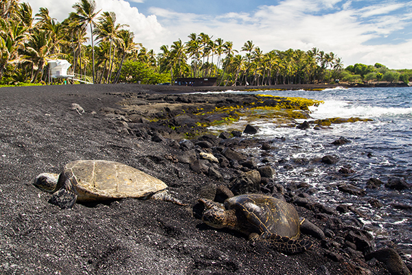 Colorful Sands Big Island Shaka Guide