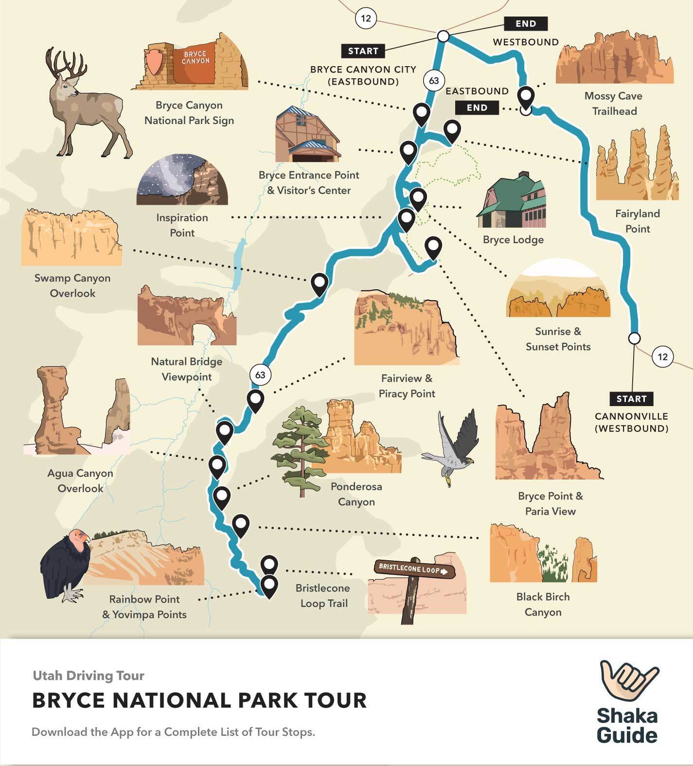 Bryce Canyon Drive Tour 2025 Schedule