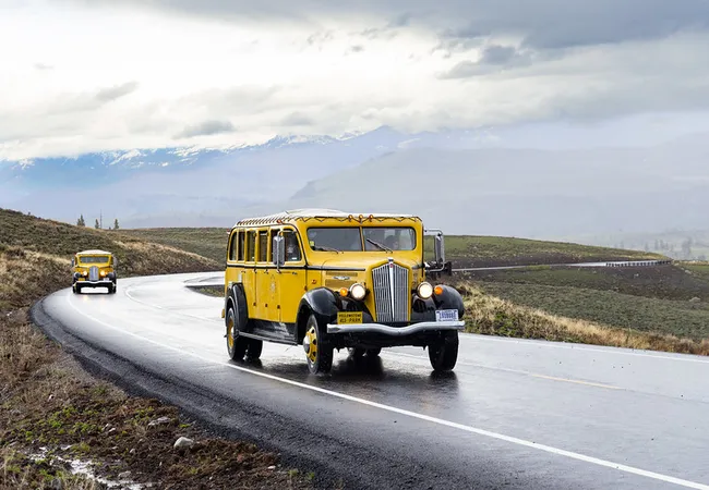 A pair of vintage yellow tour buses drive along a wet winding road through open hills, with misty mountains rising in the background under cloudy skies.
