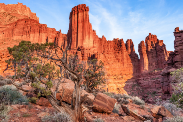 Fisher Towers Utah La Sal