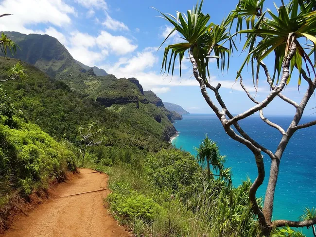 Dirt hiking trail winds along the lush green cliffs of the Nā Pali Coast in Kauai, overlooking the turquoise Pacific Ocean.