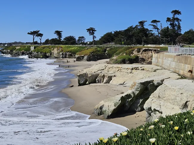 A rugged stretch of coastline features sandy coves, pale rock formations, and waves breaking along the shore beneath a clear blue sky. People walk the beach below while a scenic bluff-top path lined with coastal trees and flowering groundcover overlooks the ocean.