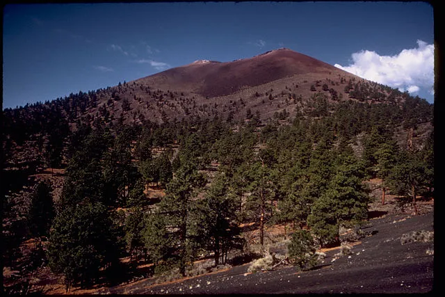 A dark, cinder-covered volcanic slope rises behind a dense forest of tall pine trees under a clear blue sky with a few white clouds.