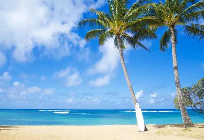 A white surfboard rests against a leaning palm tree on the golden sands of Poipu Beach, Kauai.