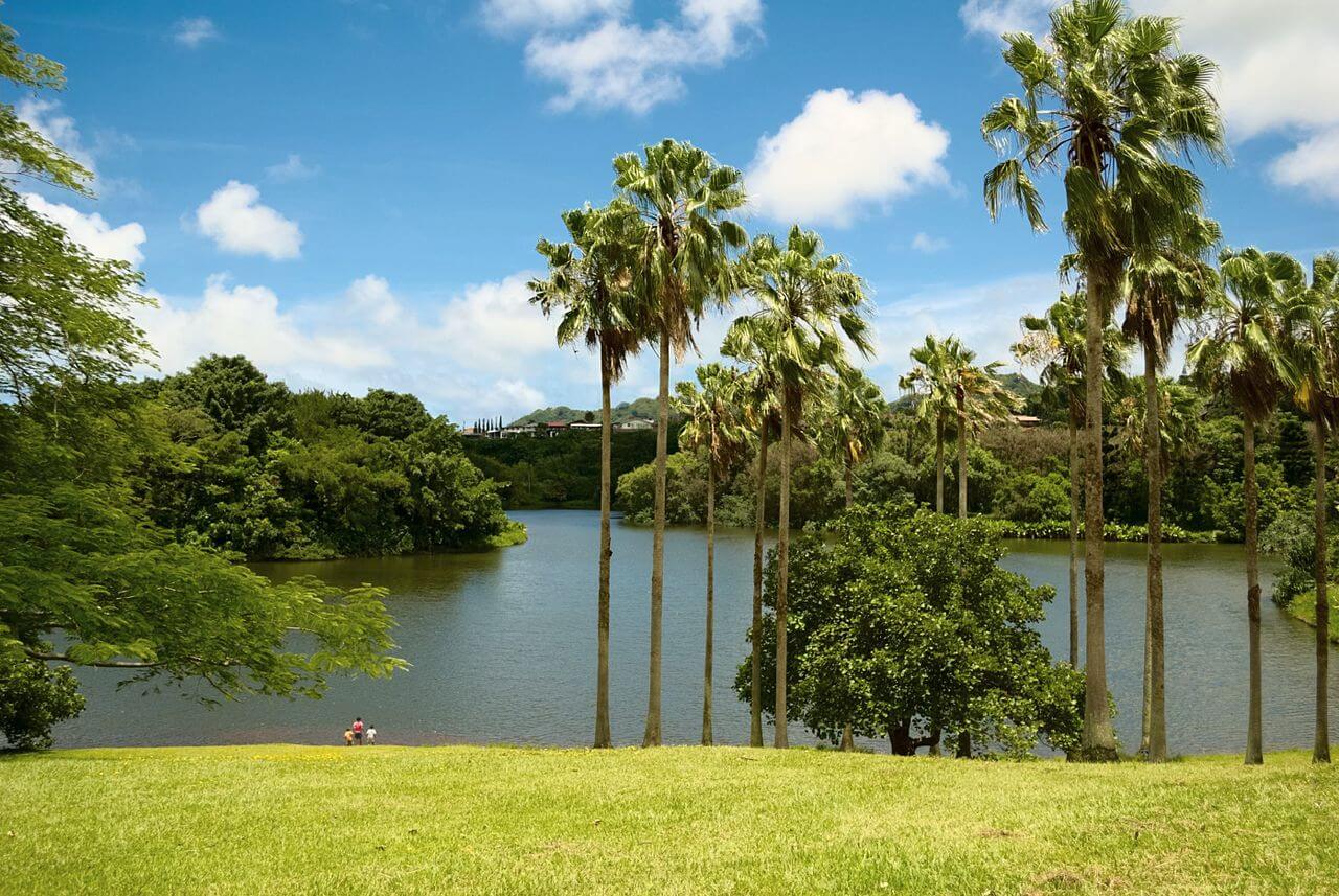 Hoomaluhia Botanical Garden Reservoir