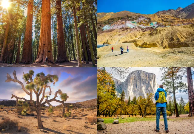 A collage of California national parks showing redwoods, desert landscapes, colorful badlands, and Yosemite's El Capitan in fall.